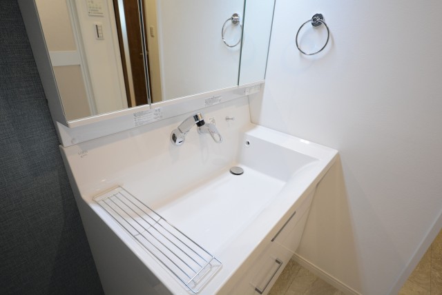 カーサ池尻 洗面