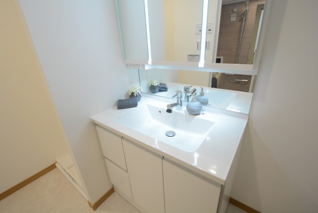 シーアイマンション駒場A棟 洗面