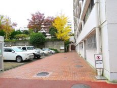 上野毛ハイム 1号棟前 上野毛ハイム 1号棟前