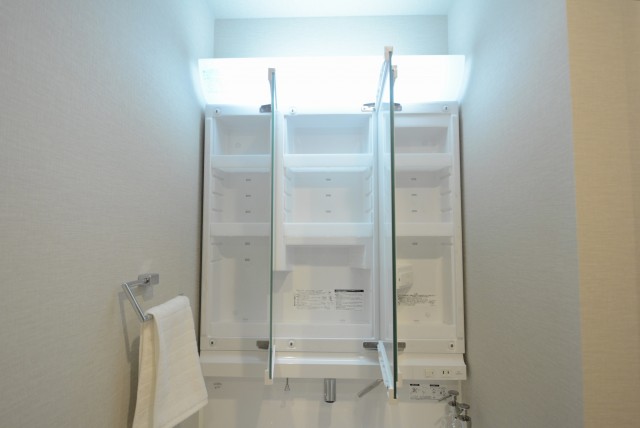 グリーンヒル小石川 洗面