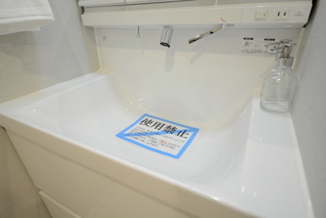 グリーンヒル小石川 洗面