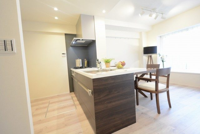 キャニオングランデ碑文谷南キッチン