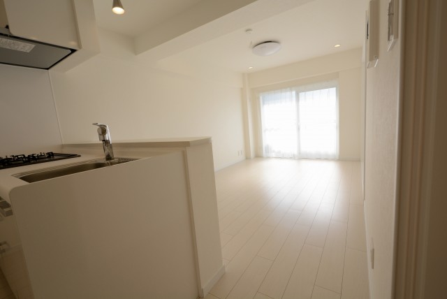 春日ビューハイツ LD