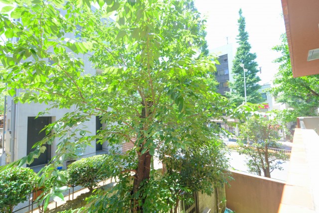 シャンボール白金 バルコニー