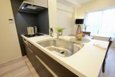 キャニオングランデ碑文谷南キッチン