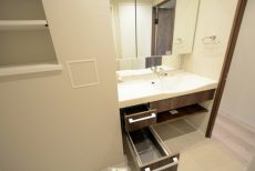 キャニオングランデ碑文谷南 洗面