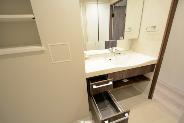 キャニオングランデ碑文谷南 洗面