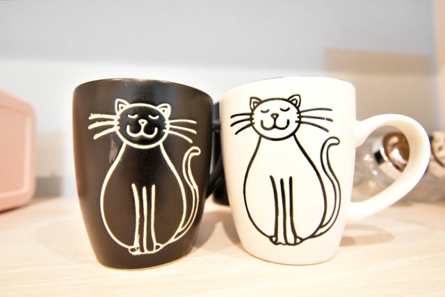 コトー大森 キッチン