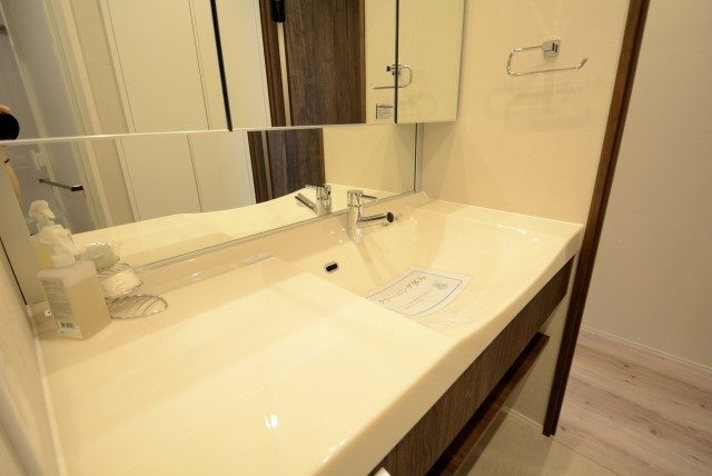 キャニオングランデ碑文谷南 洗面