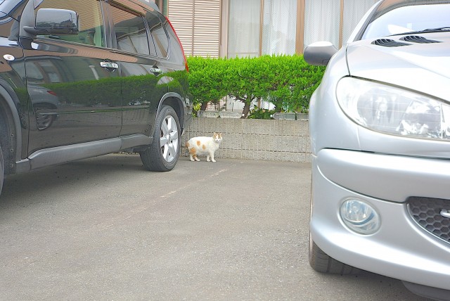 大津シーハイツ