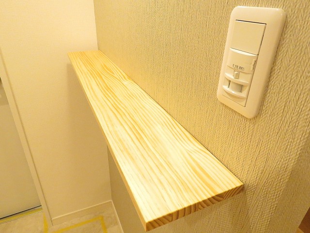 パストラルハイム西蒲田　玄関カウンター