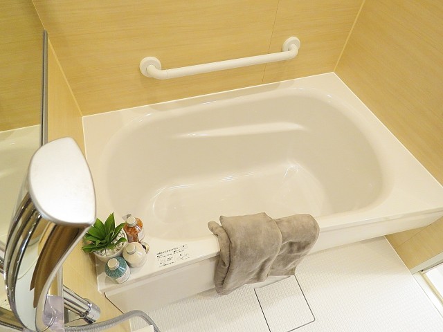 パストラルハイム西蒲田　バスルーム