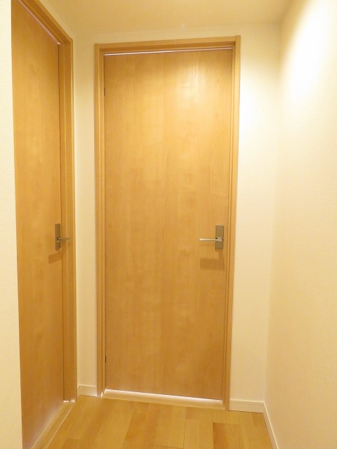 パストラルハイム西蒲田　洋室約4.1帖扉