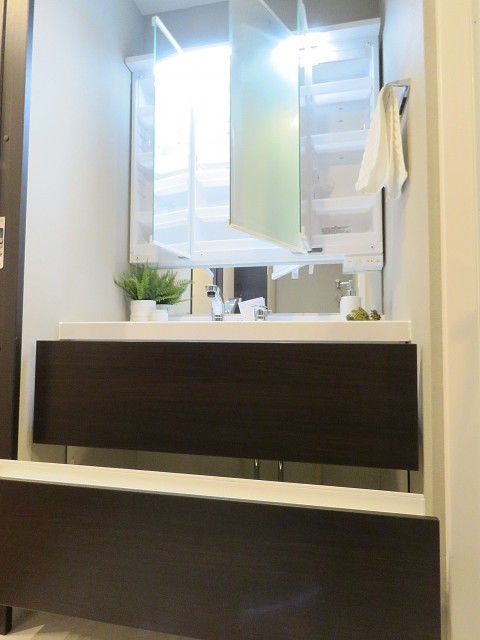 グリーンヒル小石川　洗面化粧台