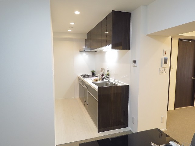 上野毛ハイム キッチン 上野毛ハイム キッチン