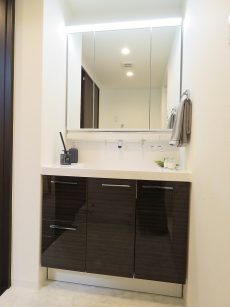 上野毛ハイム 洗面化粧台 上野毛ハイム 洗面化粧台