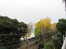 上野毛ハイム 眺望 上野毛ハイム 眺望