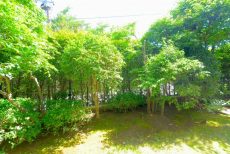 多摩川南パークハウス バルコニー