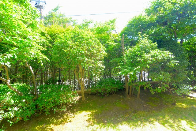 多摩川南パークハウス バルコニー