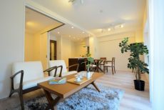 キャニオングランデ碑文谷南 LD