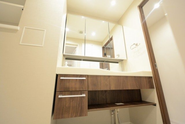 キャニオングランデ碑文谷南 洗面