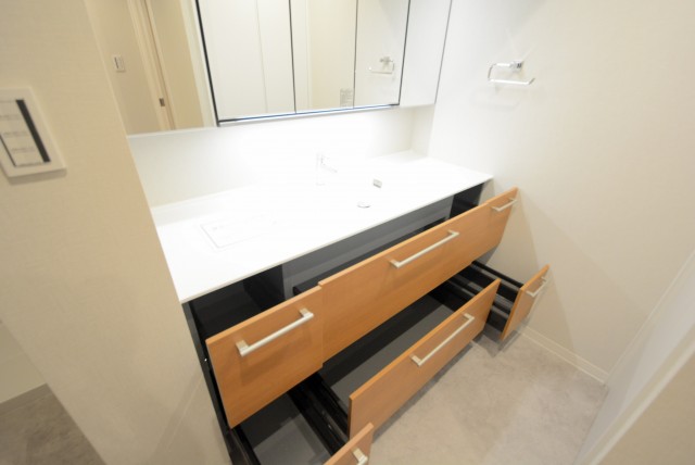 大森山王リハイム (44)洗面