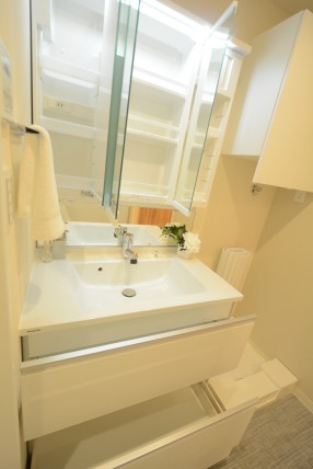 シャンボール白金 洗面