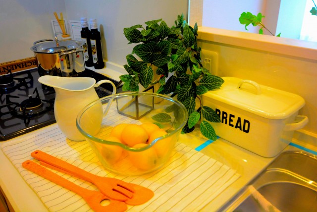 グリーンヒル小石川 キッチン