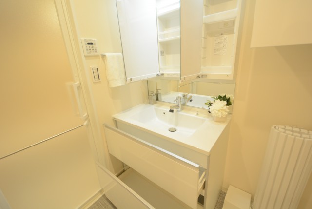 シャンボール白金 洗面