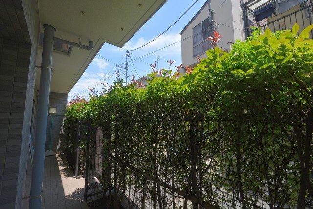 キャニオングランデ碑文谷南 バルコニー