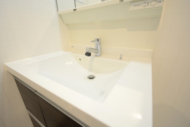 ライオンズマンション護国寺第３ 洗面