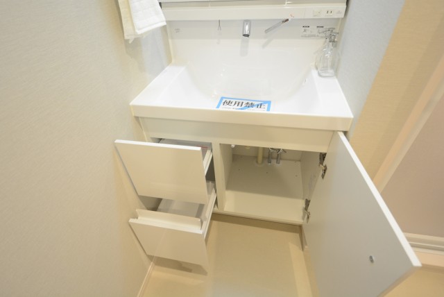 グリーンヒル小石川 洗面