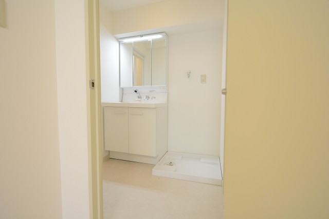 中銀小石川マンシオン 洗面