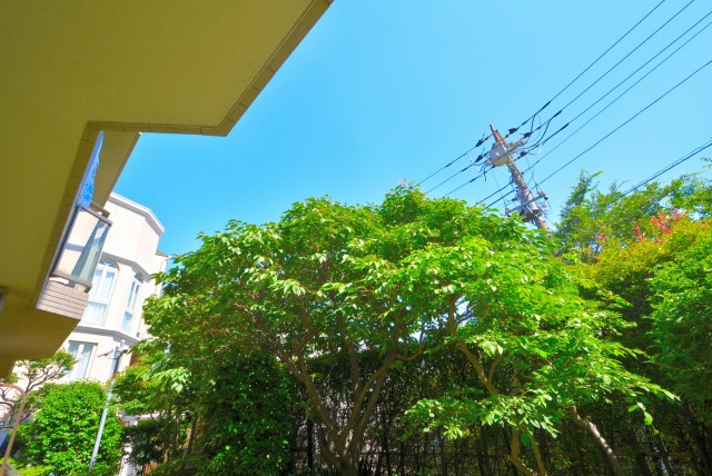 多摩川南パークハウス バルコニー