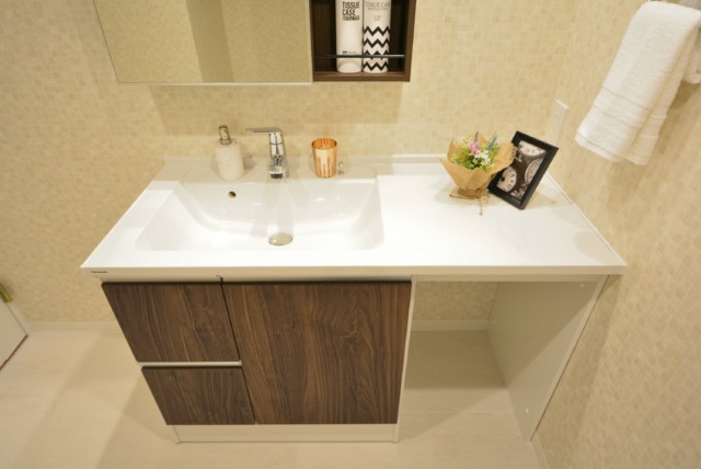 マンション都立大 洗面室