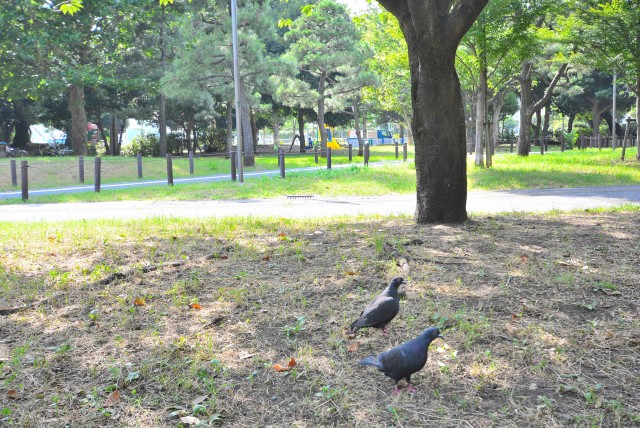 砂町三丁目公園