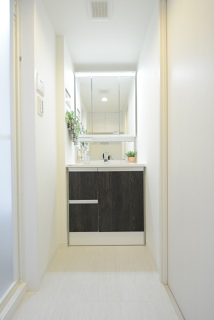 ツインシティ 洗面