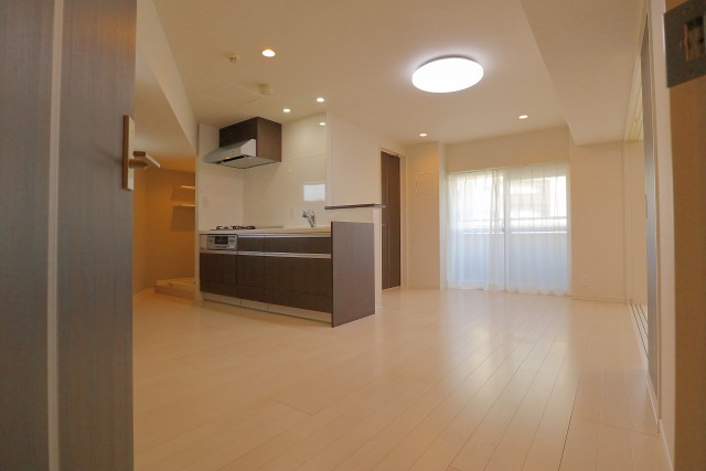 駒場ネオパレス LD 駒場ネオパレス LD