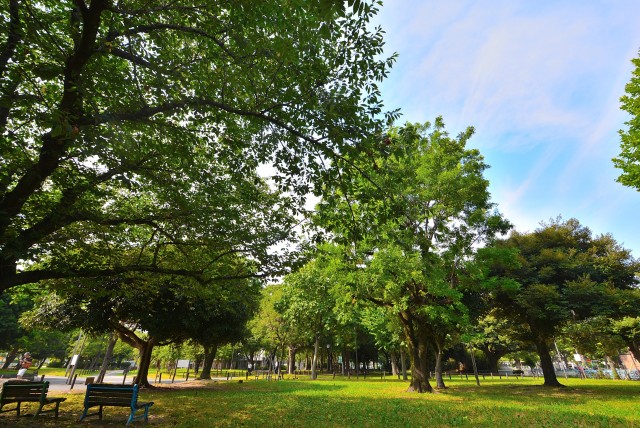 砂町三丁目公園