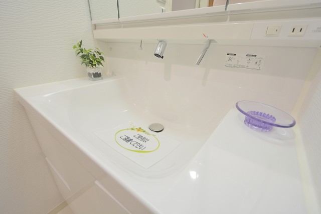 ツインシティ東砂アネックス (121)洗面