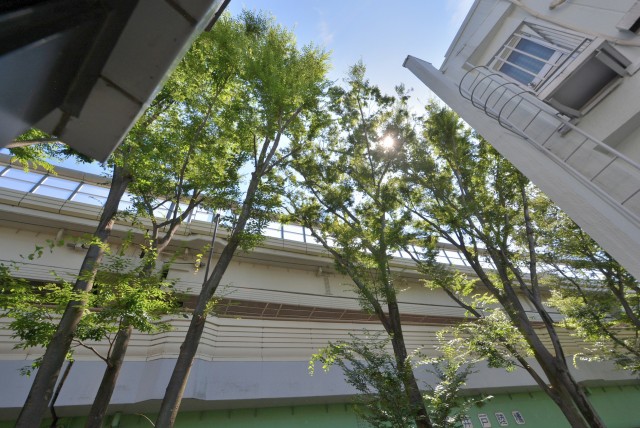 OLIO上北沢 (243)窓からの眺望です