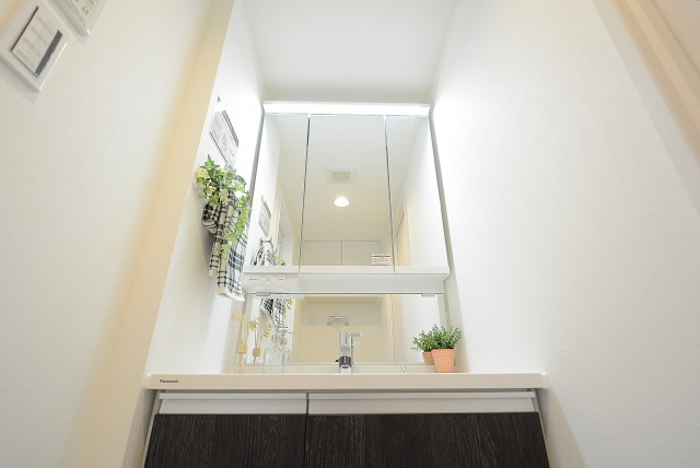 ツインシティ 洗面