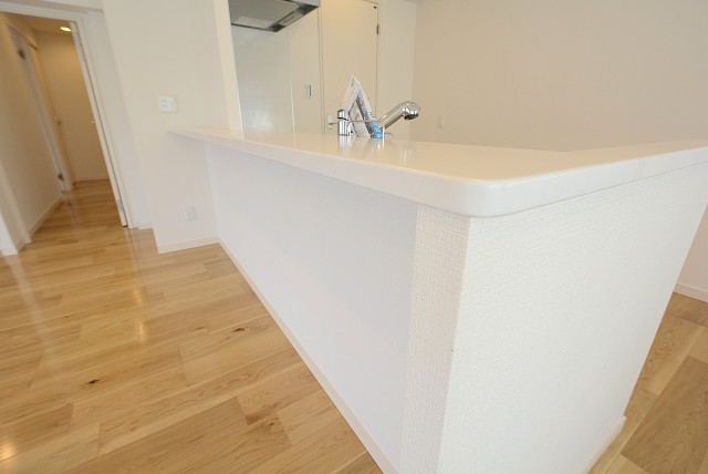 マンション小石川