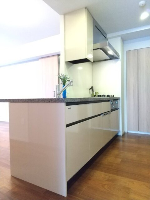 ウィルローズ市谷柳町 キッチン