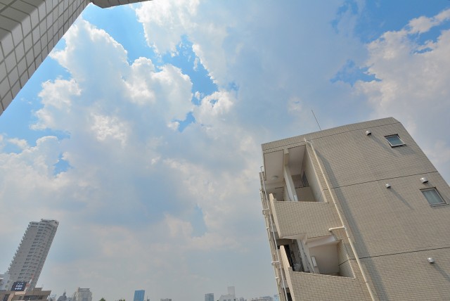 ⑧ウィルローズ市谷柳町 (225)