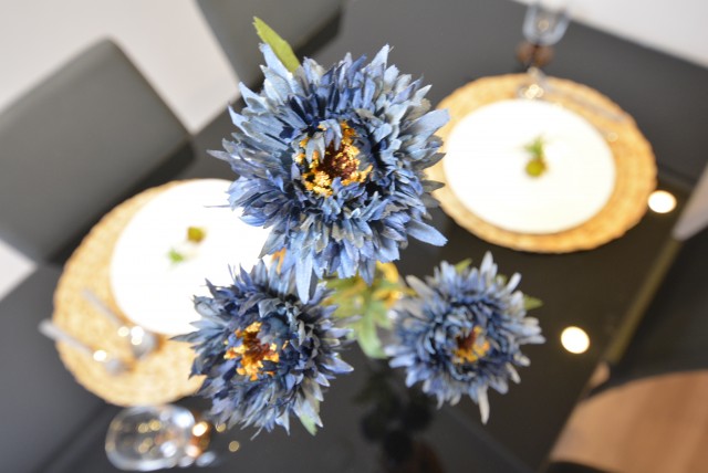 ニューライフ等々力 LDK