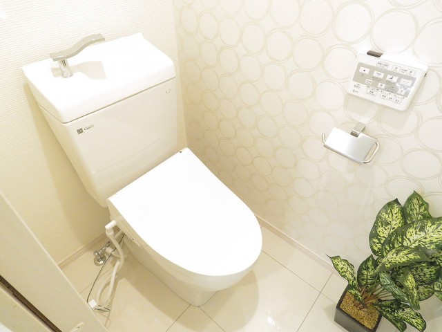 馬事公苑前ハイム　トイレ