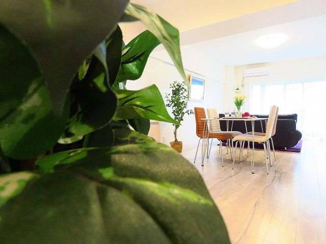 馬事公苑前ハイム　LDK約17帖