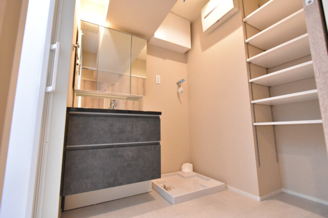 シャトー赤坂台 (55)洗面室