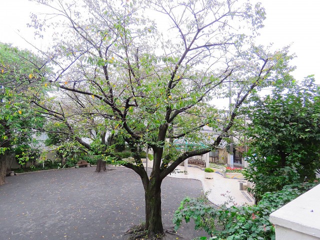 コーポ洗足　廊下からの眺望